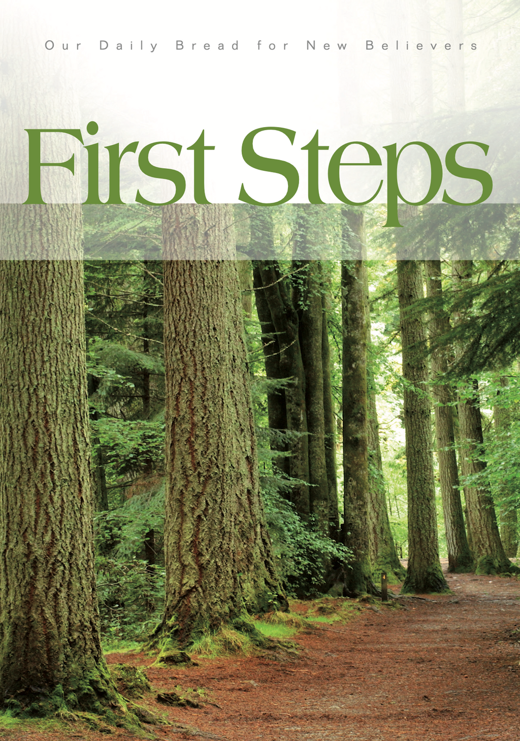 First Steps
