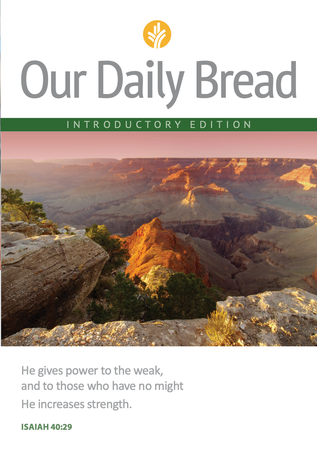 ODB Introductory Edition