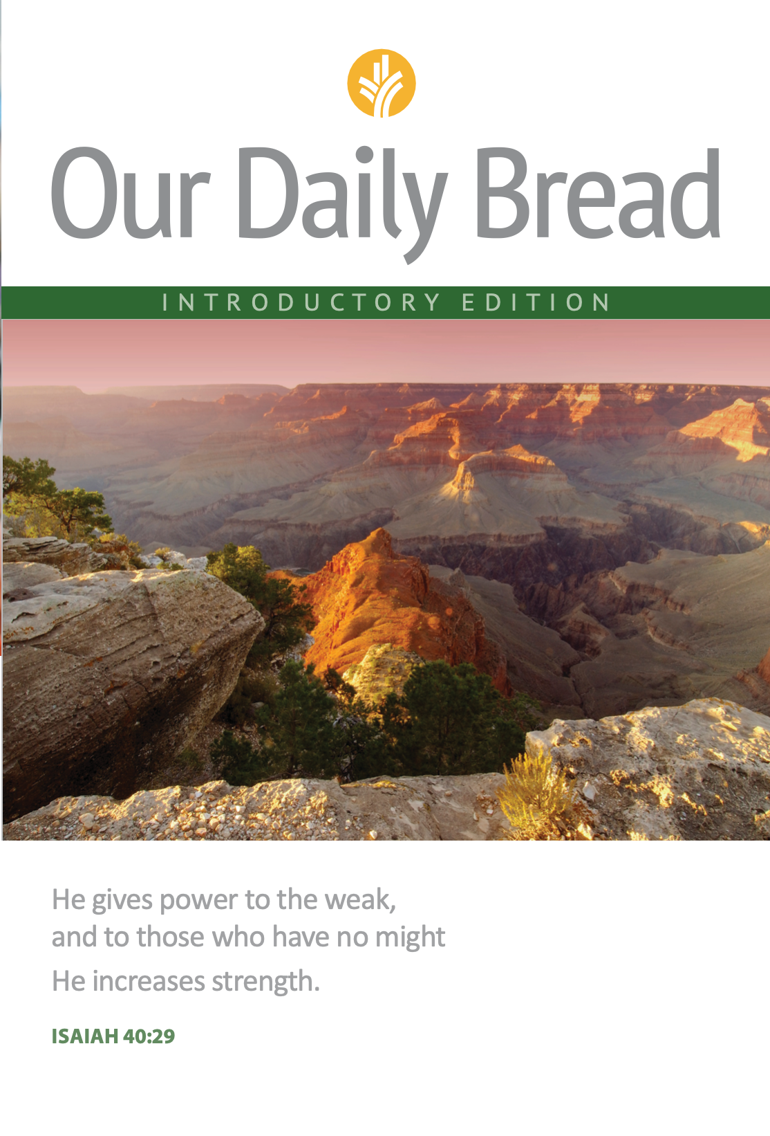 ODB Introductory Edition