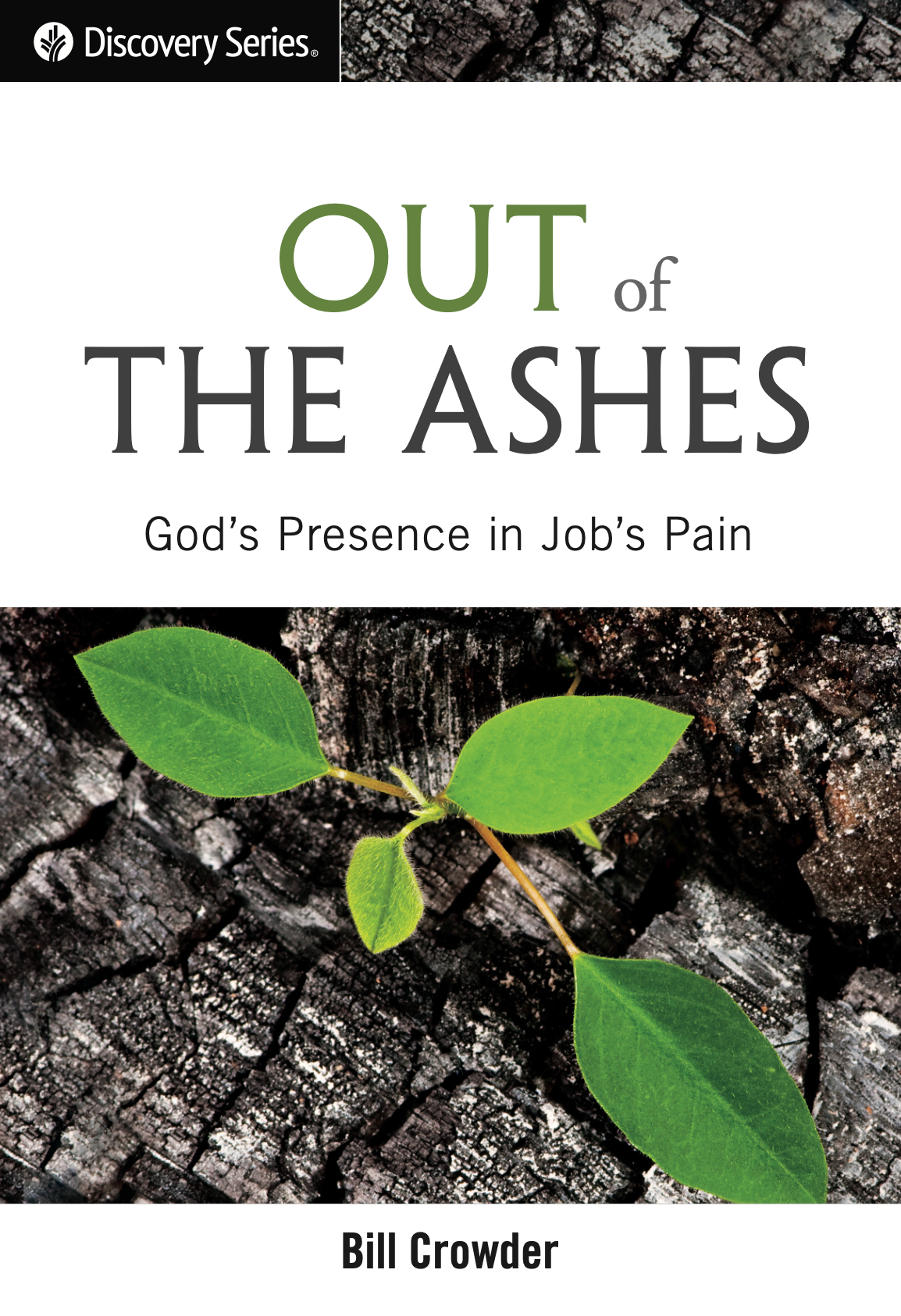 Out of the Ashes: God's Presence in Job's Pain